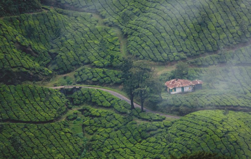 Kerala – 2-Night Exciting Tour Package